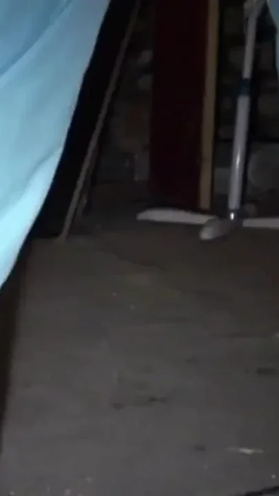 Fist by a bad boy with sneaker humiliation