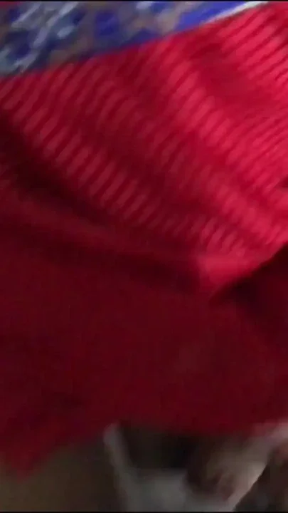 Red outfit with golden shower Clip 1