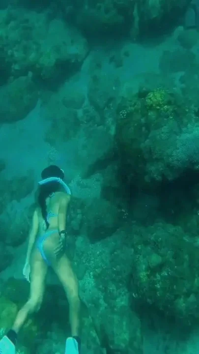 The Little Mermaid