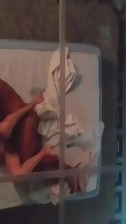 Hot Wife Having Bareback Sex with a Big Dick