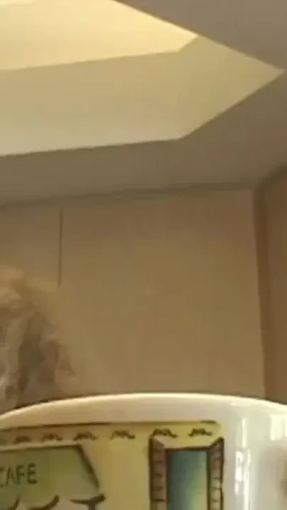 Milf with giant boobs hardly fucked