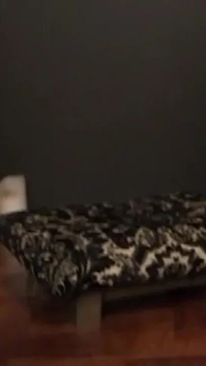 Busty Mixed Ebony Asian Girl Suucks Gloryhole Dick