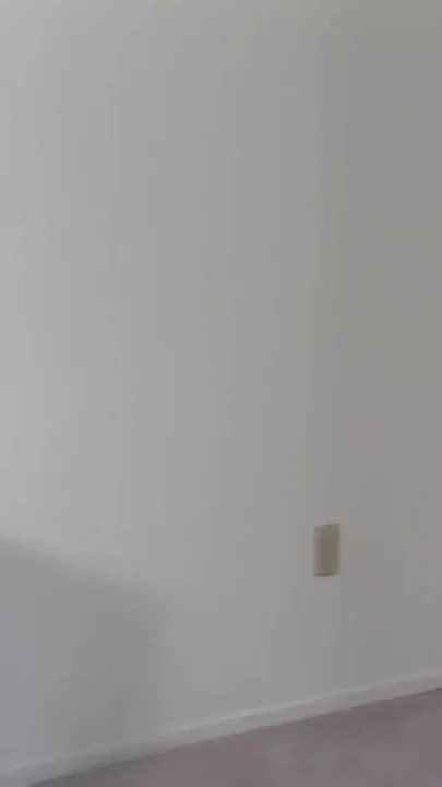 The Cleaner Sucks the Man's Penis