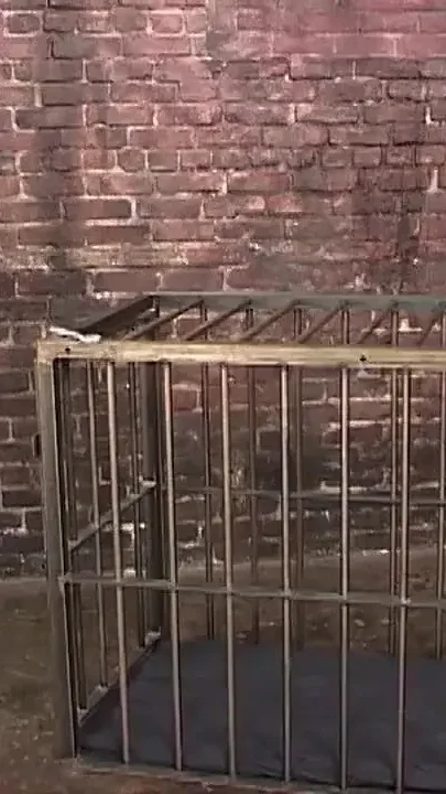 Dungeons & Daddies Caged Meat