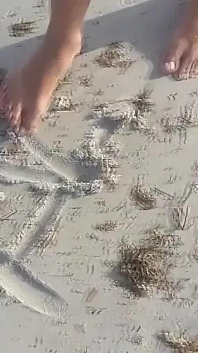 Surrendered by the Sea
