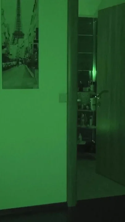 Night Vision Fucking Rosalina Love