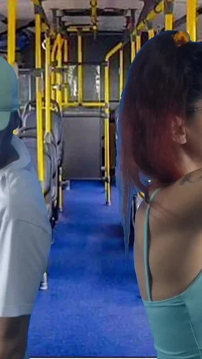 Sex Public Transport