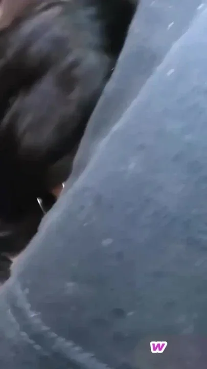 Must-see moment from 