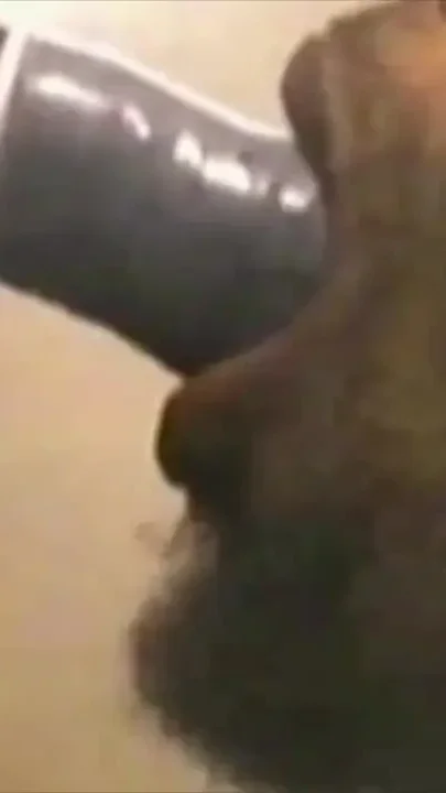 Vintage pornEbony fuck in sox