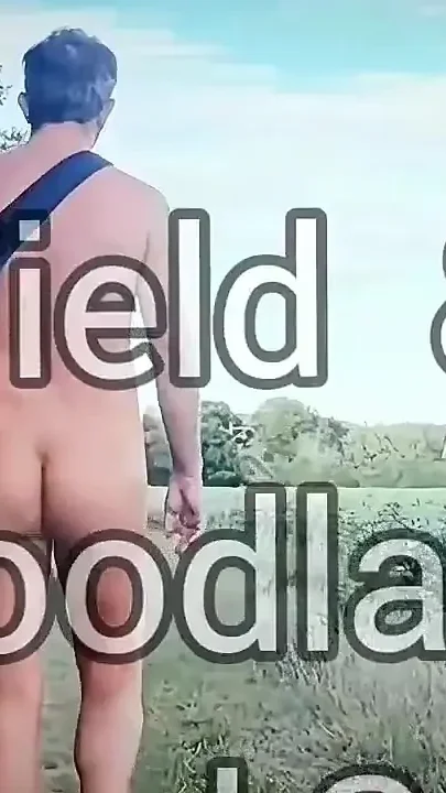 Field Woodland Stroll