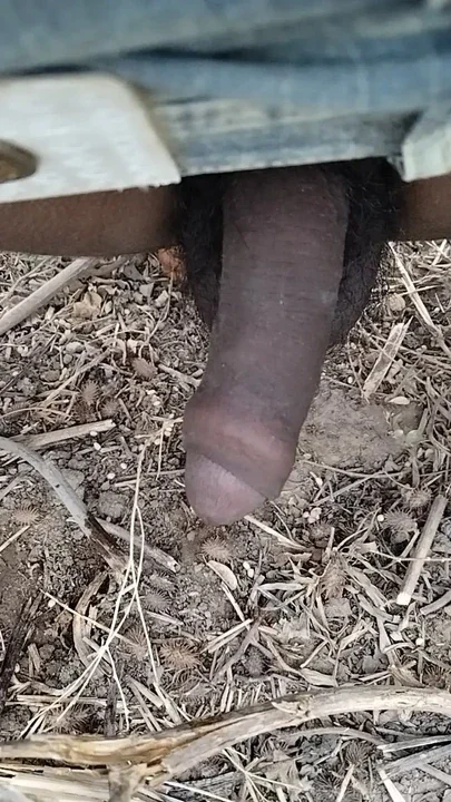 My black little cock