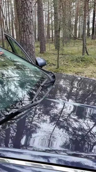Roadside Assistance Rewarded with Anal Sex