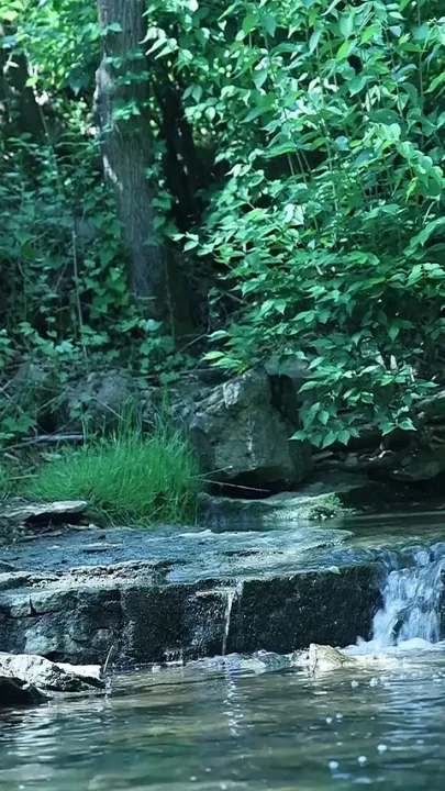 Flexing by the Waterfall Trying to Sneak a Little Private Moment