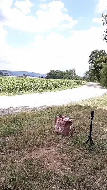 Summer Session Part 1
