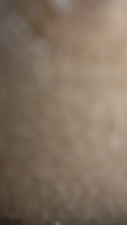 Desi bhabhi ki video Clip 1