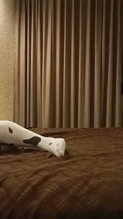 I Love to Fuck