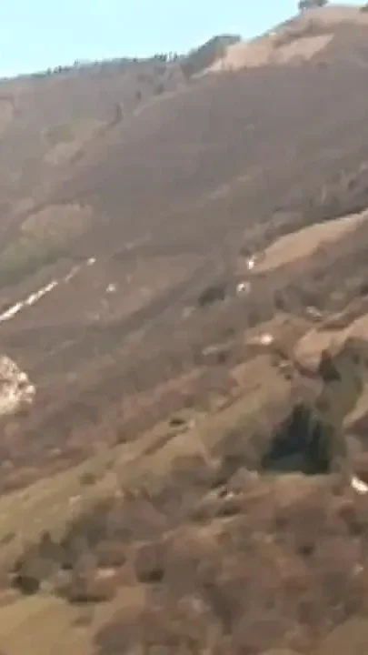 Hot Blonde MILF Caught in the Countryside While She's Pissing and Ass Fucked