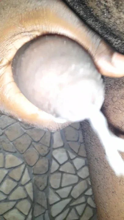 Do you want me to cum for you