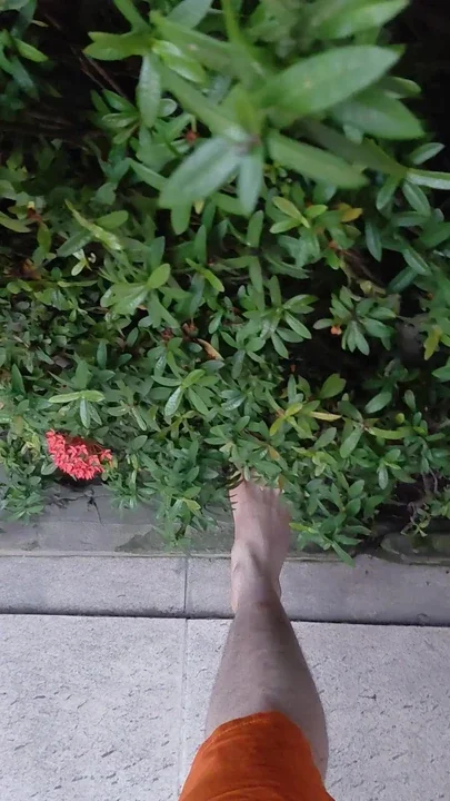 Wild Foot