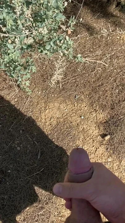 Cummig outdoor