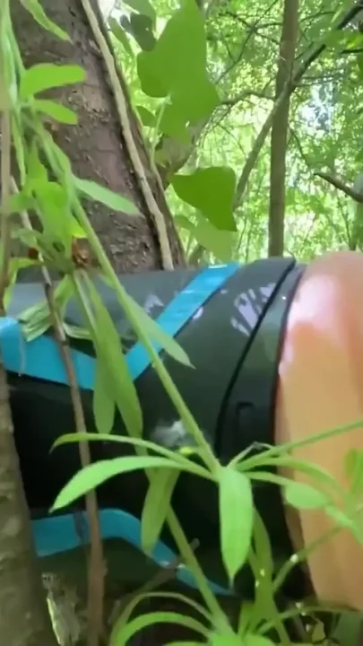 An Exhib Jerks off in the Fort Thinking of a Little Pussy and Squirts on the Hole