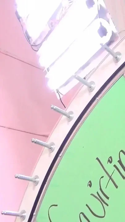 Maggie Green and the Wheel of Happiness
