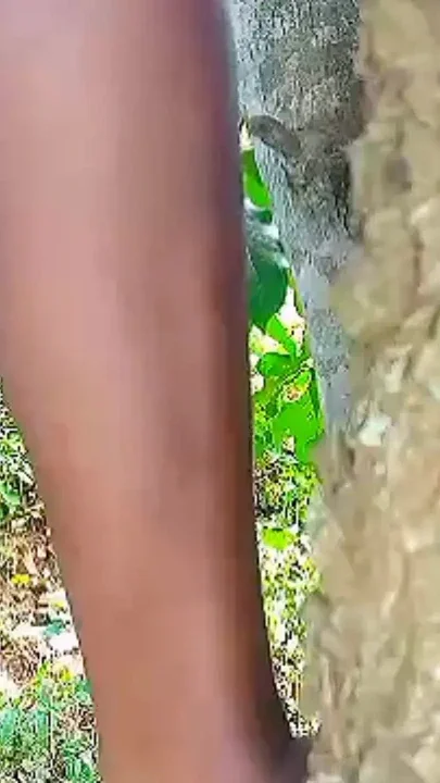 Teen Solo female masturbation with wet tight pussy in the bush she missed