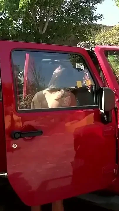 Naked Babes Sucking Cock and Washing Jeep Outdoors
