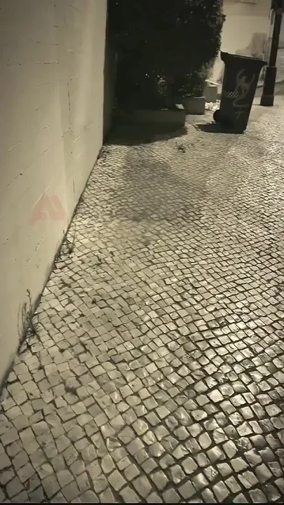 Amateur Boy Sucks a Guy He Found Jerking-off in the Street