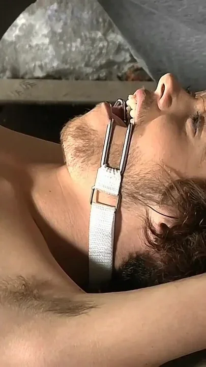 Alexander Becomes a Bottom Slave