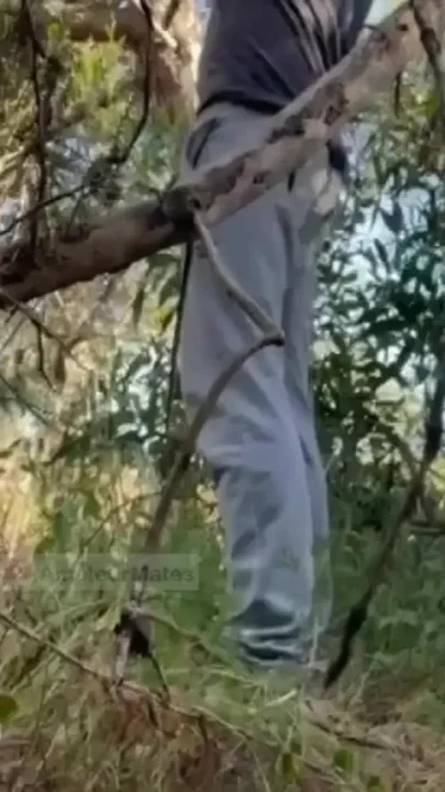 Hot Amateur Boy Sucks and Rims in the Woods