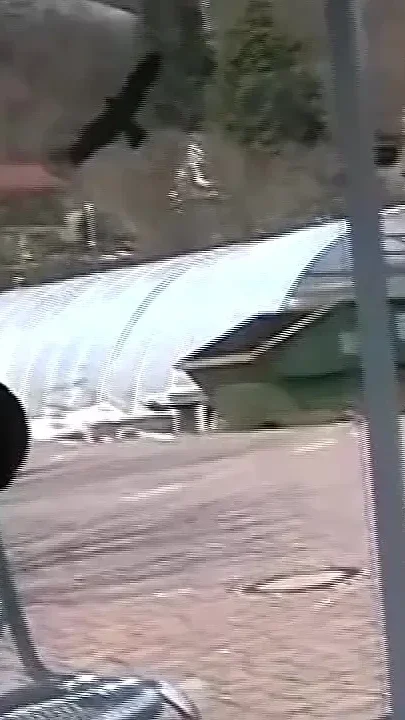 Wild Threesome with Lots of Sperm