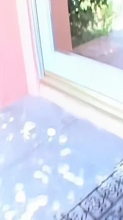 Spit Anal Cream Pie Cum in My Slutty Mouth