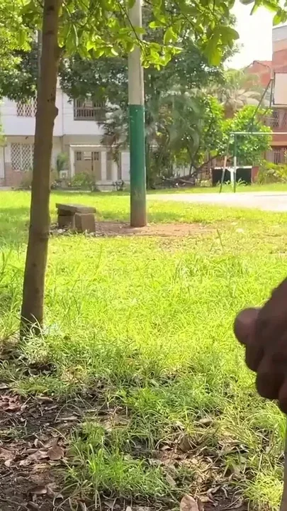 Beautiful fitness girl morbids her trainer in the park with huge thick cock Clip 1