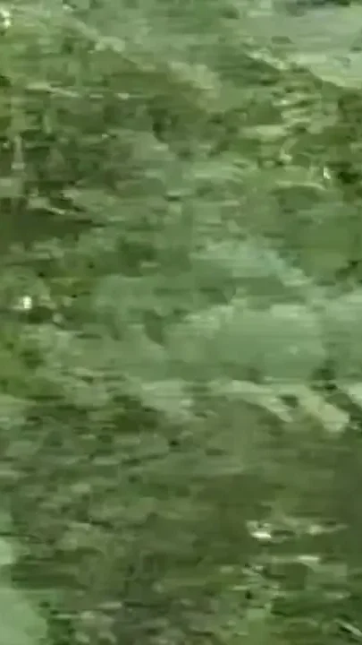 French slut fucked by xxl Arab in forest cruising