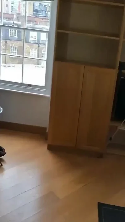 Japanese Teen in London
