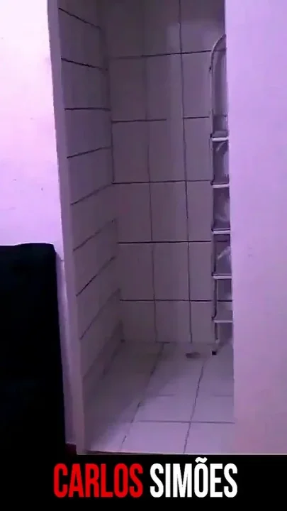 Dick Ass Pussy and Lots of Cock