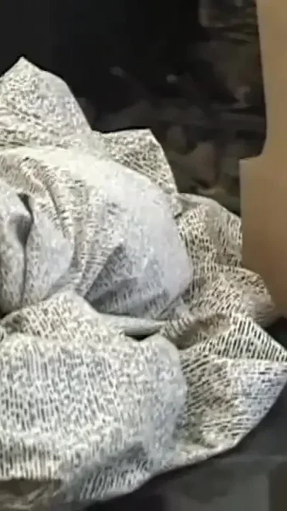 Blonde milf big anal penetrated