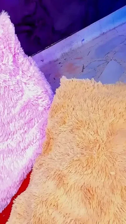 Fucked in Amusement Park