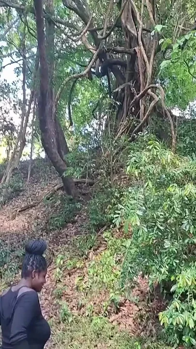 Lost in the Waterfall Far From Everything Excited Searching for a Big Better Dick