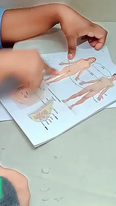 Desi College Girl Sex Education Part- 1 Clip 1