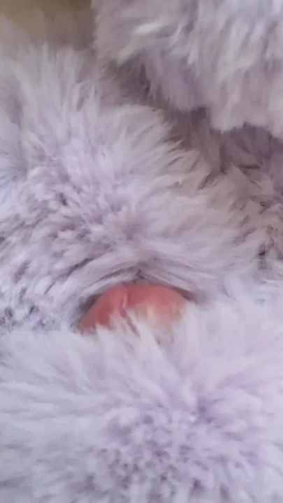 Fur orgasm