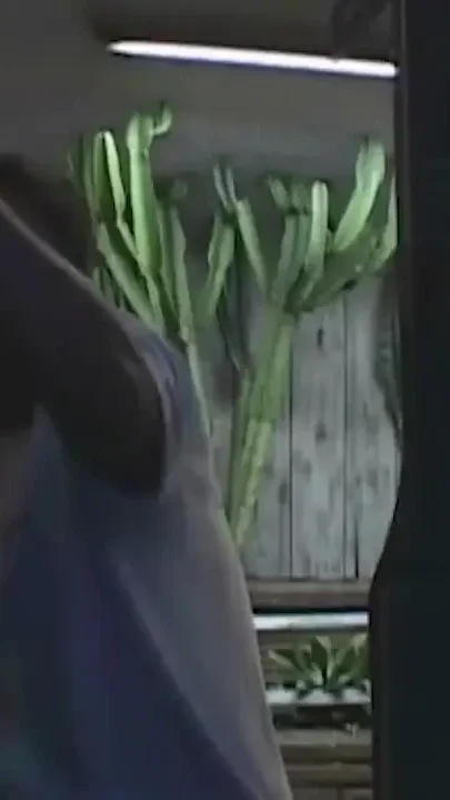 Busty teen picked up for bang van fucking