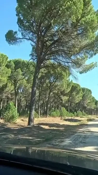 I Met a Woman in the Woods and Fucked Her Until I Cum in Her Mouth