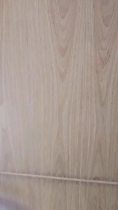 Argentinian Slut Fucks Colombian Roommie She Loves His Big Dick