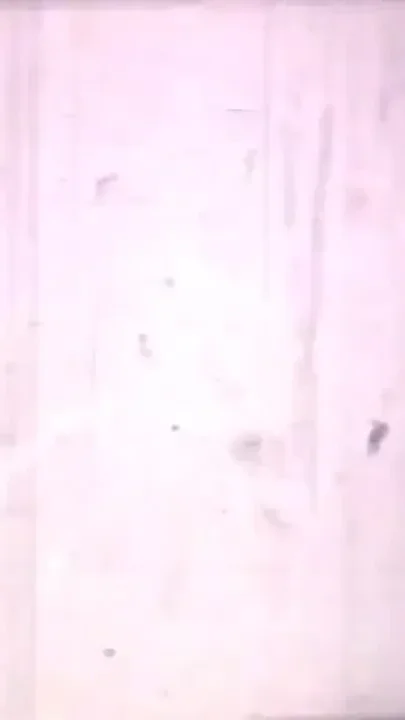 Josephine Baker's sensual dance