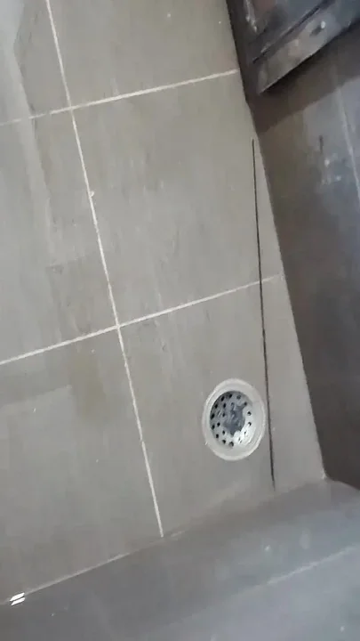 Bigg Cock