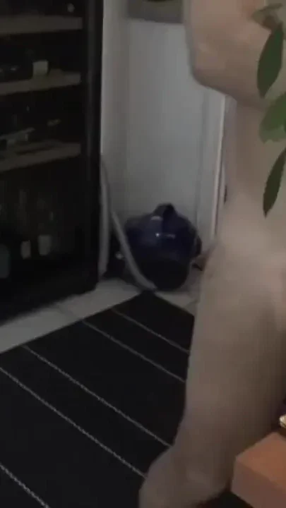 French arab fucked barebakc by Viktor Rom in the kitchen
