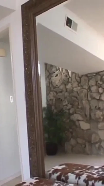 Chelsea Rae POV Fuck From Lexington Steele