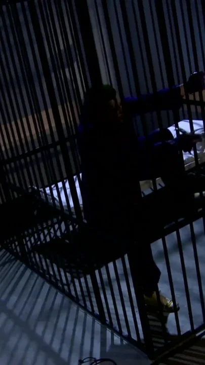 Catwoman cant be tamed